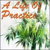 alifeofpractice