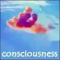 consciousness